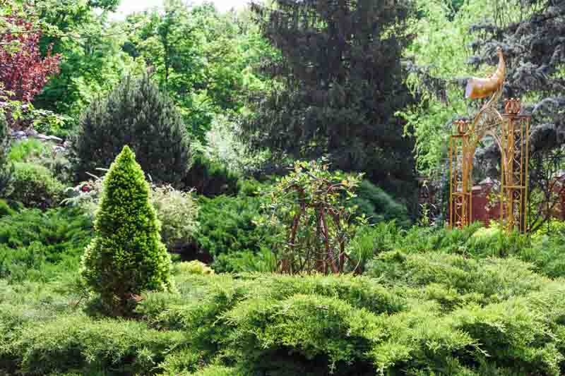 Beautiful landscape design, evergreen trees and shrubs in sunlight. Modern landscaping: Fir trees, spruces, arborvitae, thuja, evergreen shrubs and bushes.