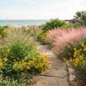 A Sunny Florida Coastal Garden with Native Flowers. Plants include Helianthus debilis, Stachytarpheta jamaicensis, Muhlenbergia capillaris, Phyla nodiflora