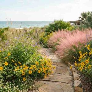 A Sunny Florida Coastal Garden with Native Flowers. Plants include Helianthus debilis, Stachytarpheta jamaicensis, Muhlenbergia capillaris, Phyla nodiflora