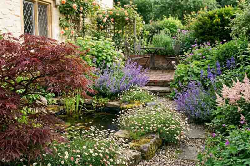 Romantic Cottage Garden with Acer palmatum Crimson Queen, Erigeron, Nepeta, Astilbe Rheinlandpng
