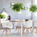 Giant ferns hanging over dining table with a complete set of five modern chairs