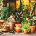 Ceramic terra cotta pots, gardening tools, and lots of plants on the table and shelf behind. Plant replanting in the flower shop