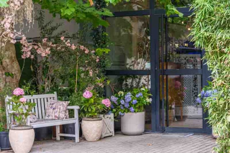 Potts Instulated Hydrangeas in Pots: Best Varieties, Care & Winter Tips